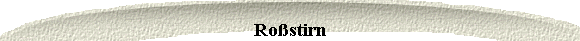  Rostirn 