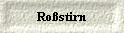  Rostirn 